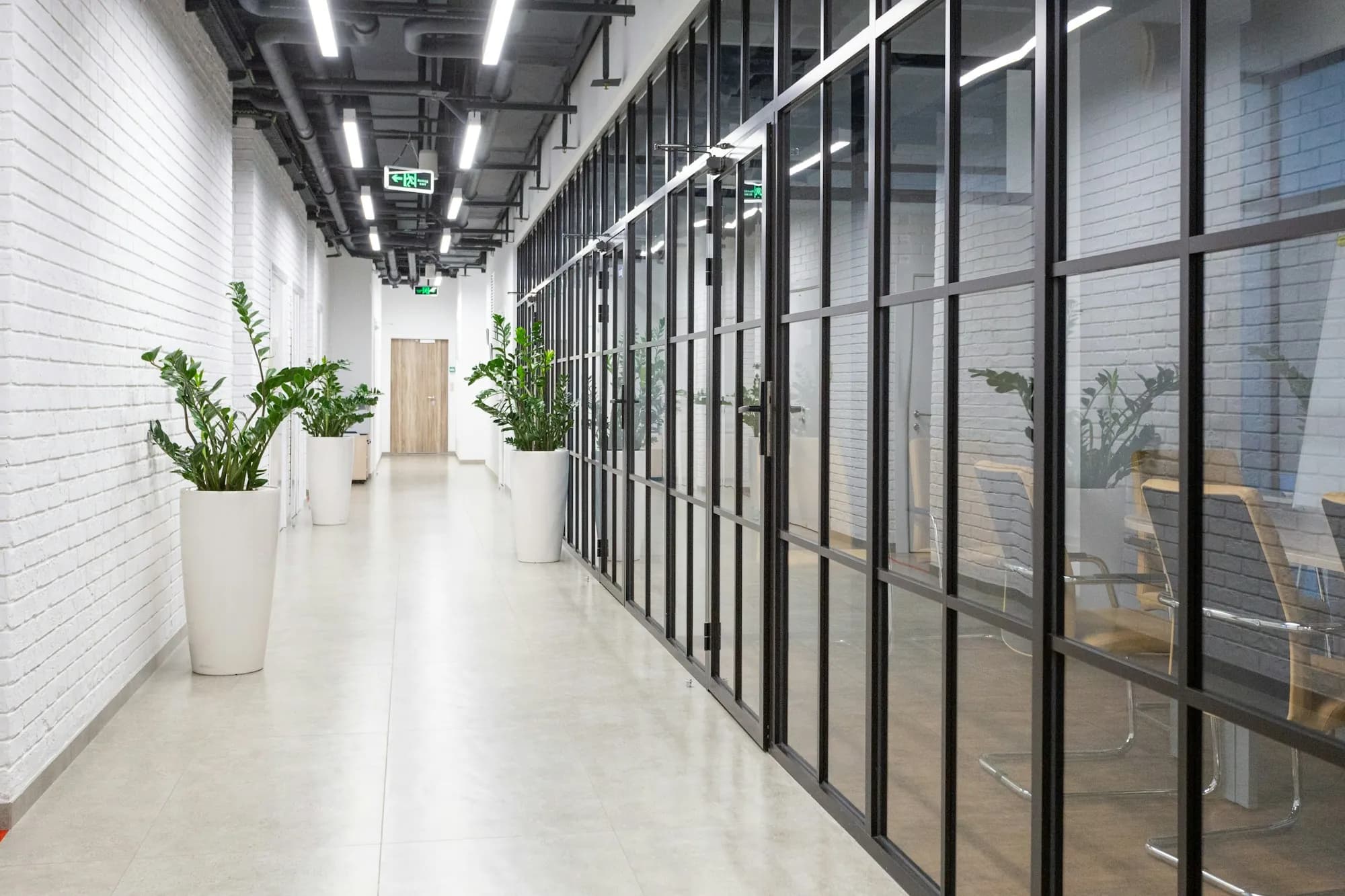 A bright white corridor with glass-walled rooms along one side and plants along the other
